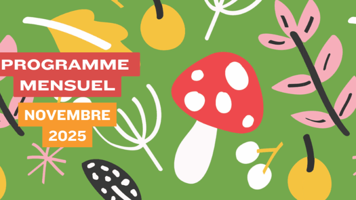 Programme de Novembre