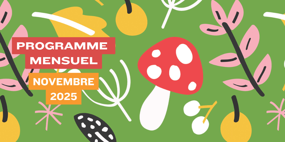 Programme de Novembre